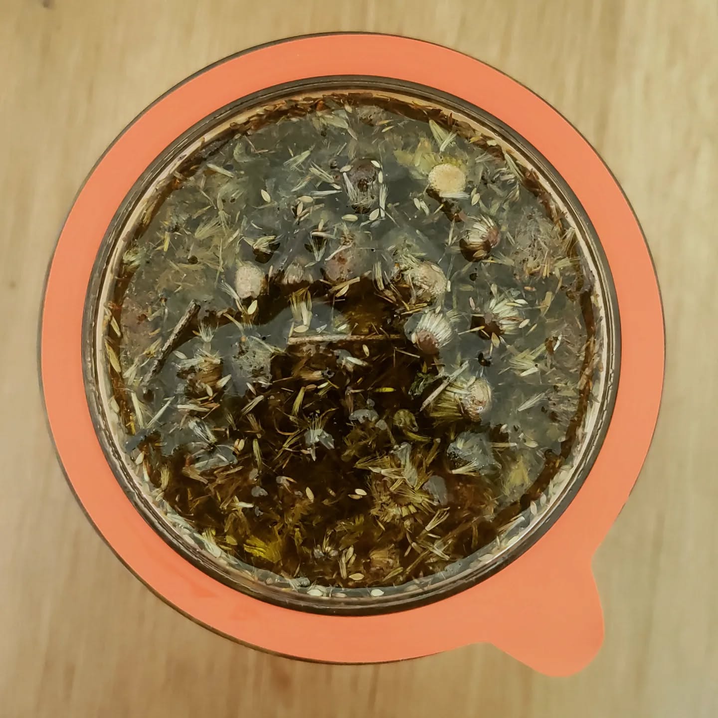 .brouwsels 

Oogst Arnica Montana - wonderzalf :)