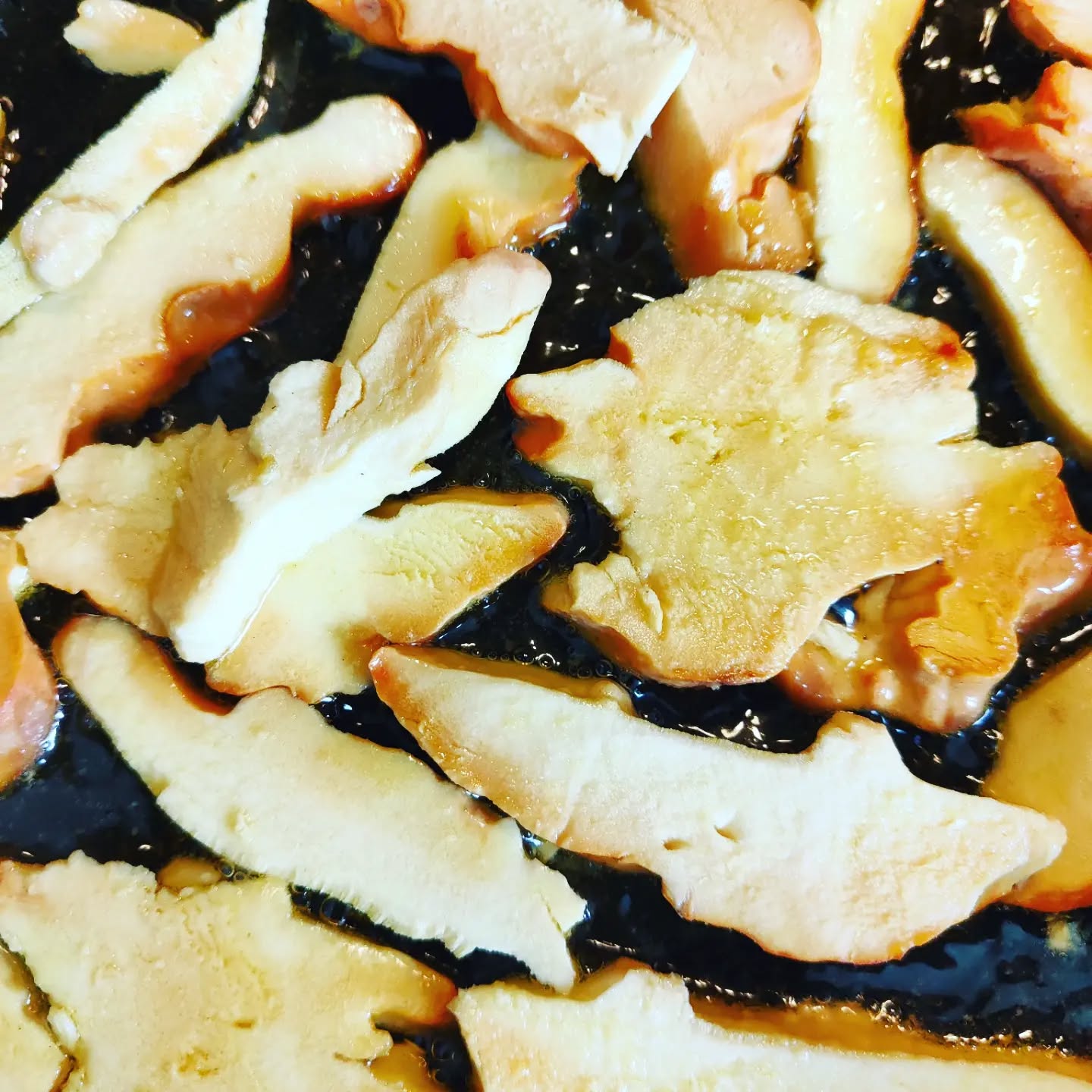 .chickenofthewoods