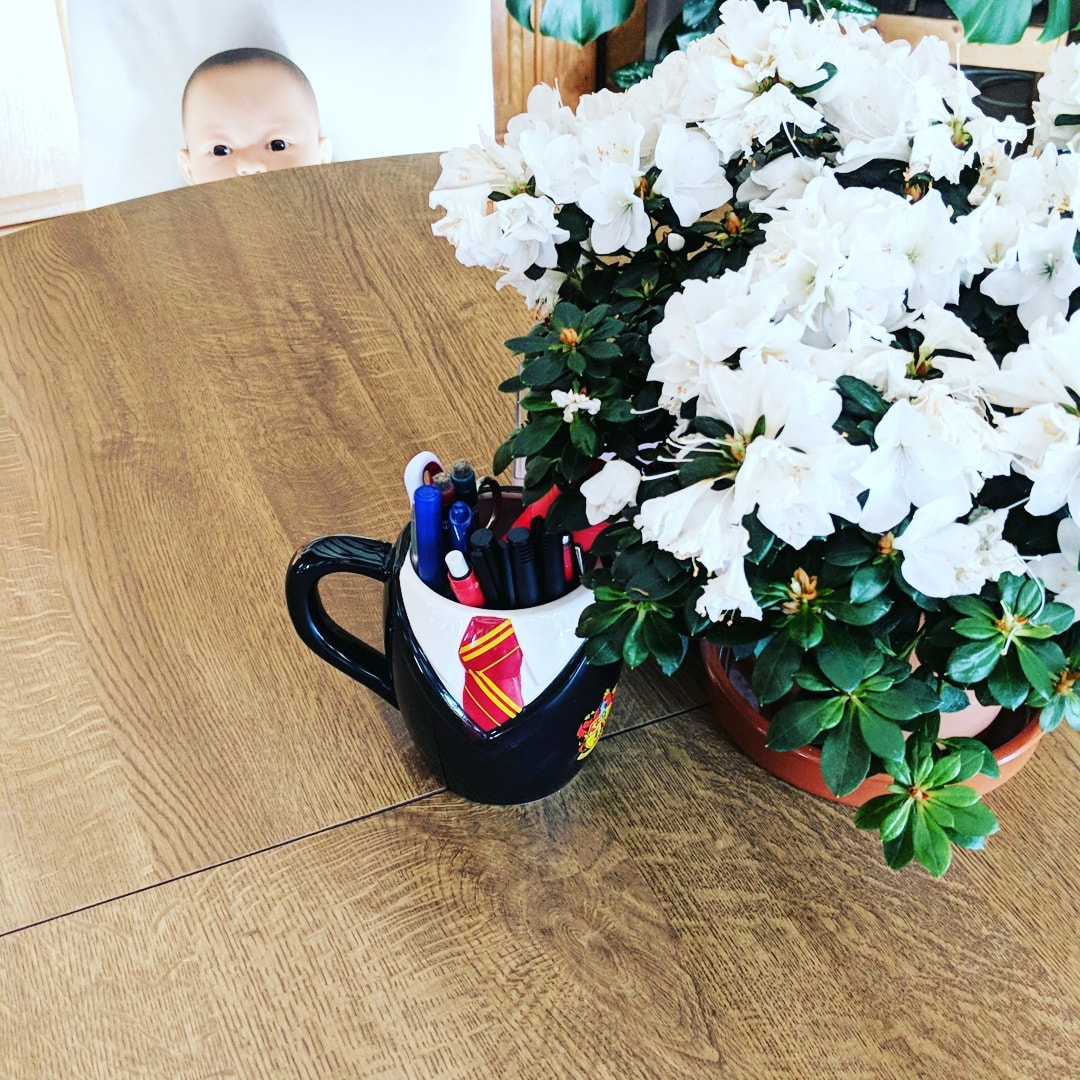 instagram post 18151526449153920