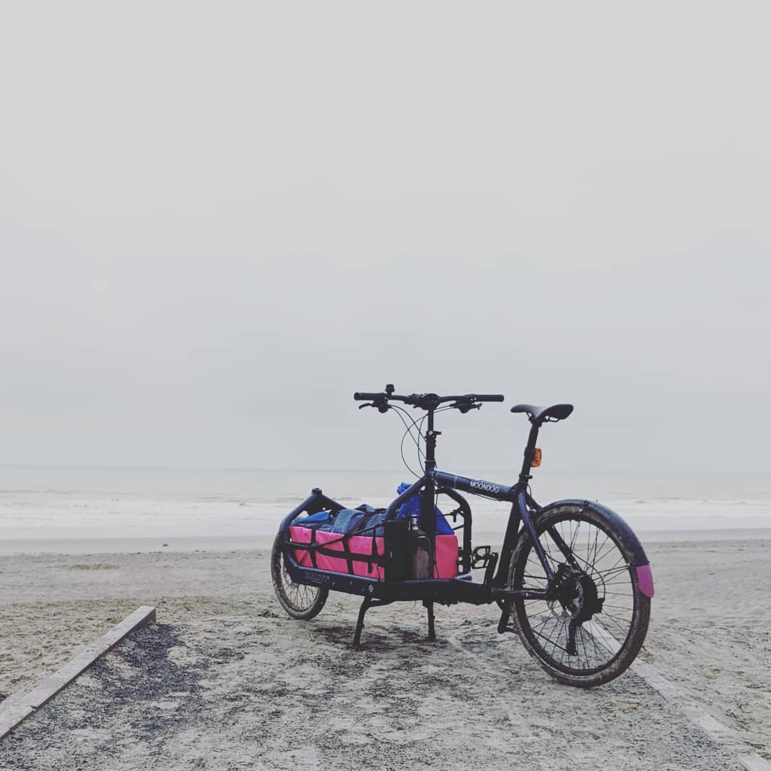 Fietstochtje zee.

@larryvsharry  @dyedinthewoolofficial