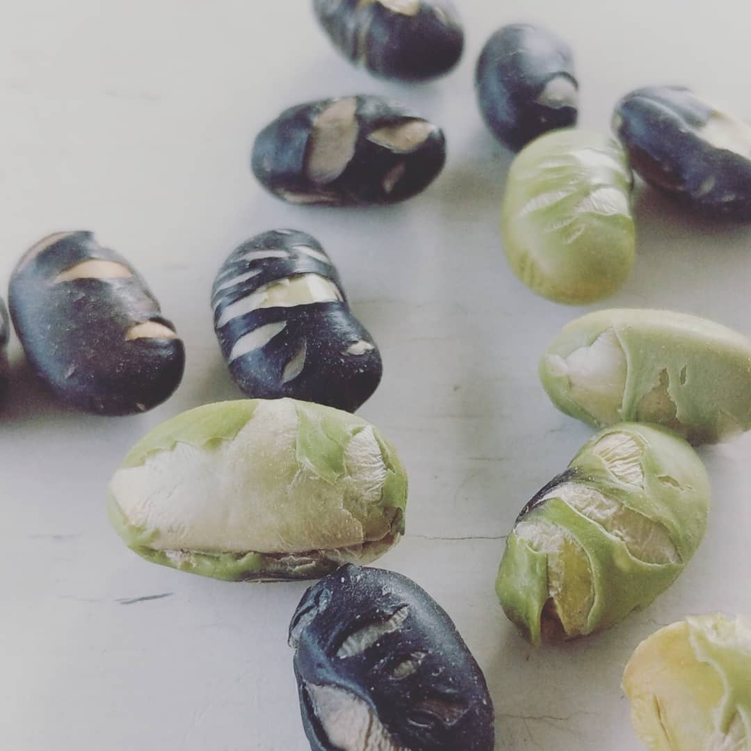 .boontjesgerooster

#beans @denotenshop