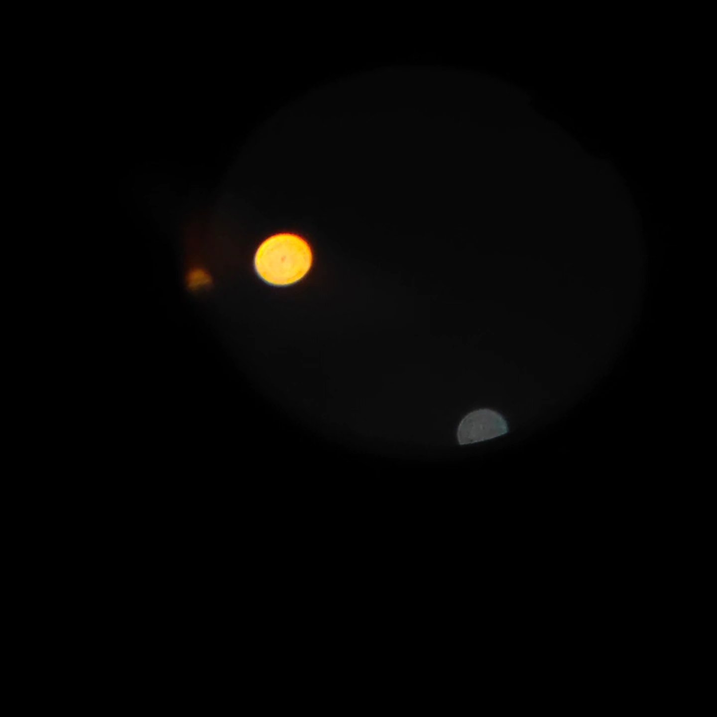 .venus