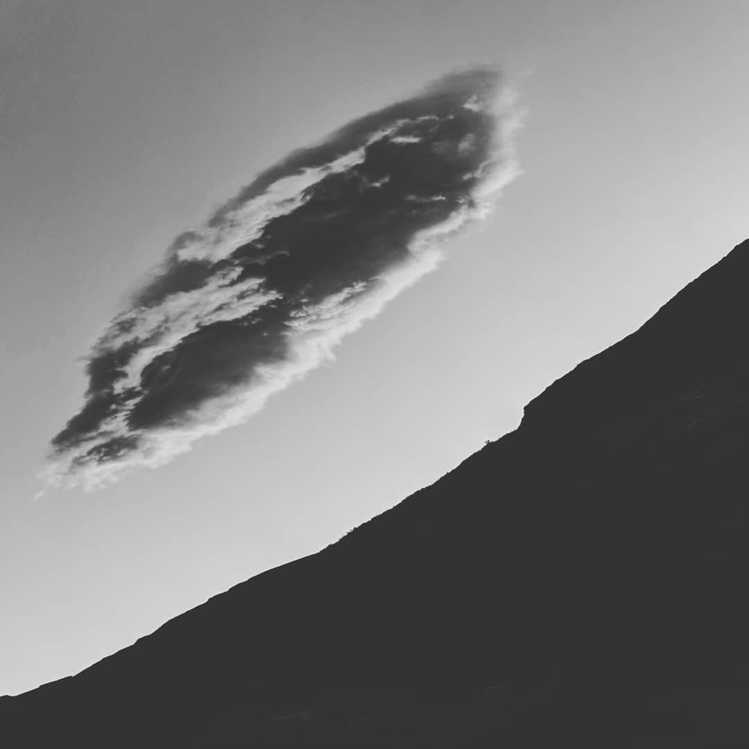 .wolk