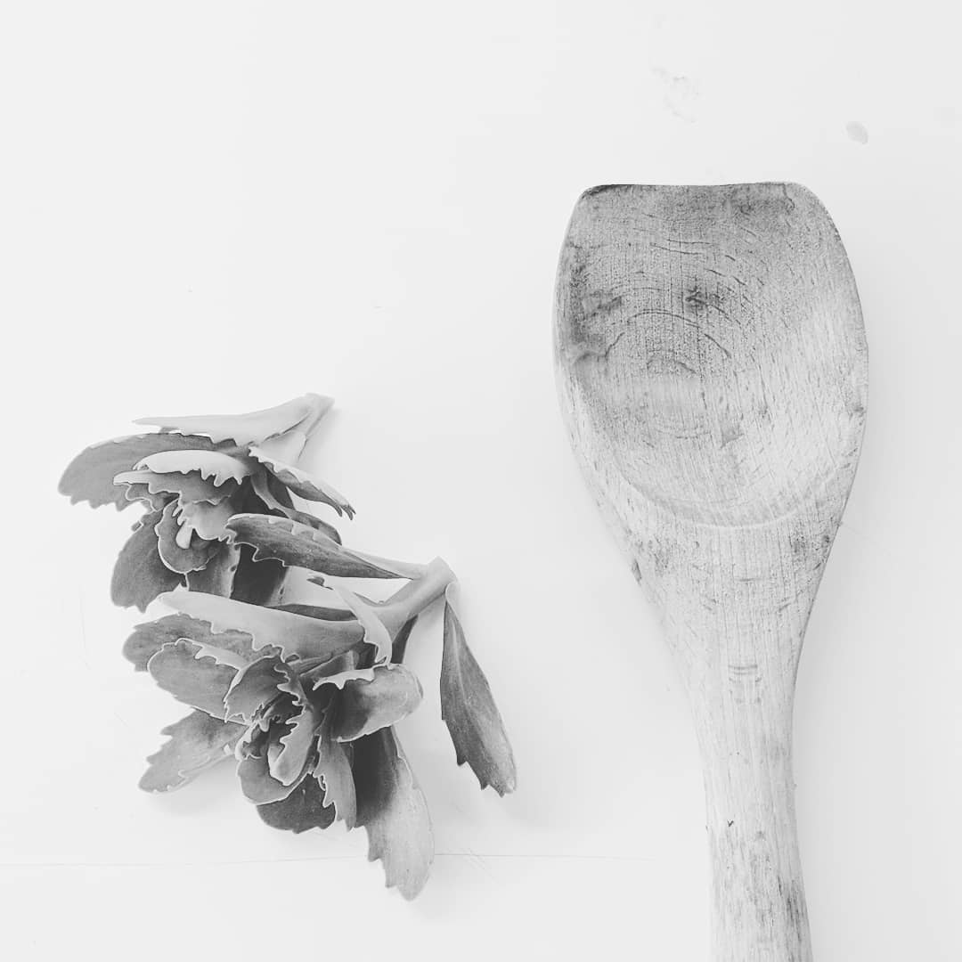 .hemelsleutelsoep

#sedumtelephium #orpine