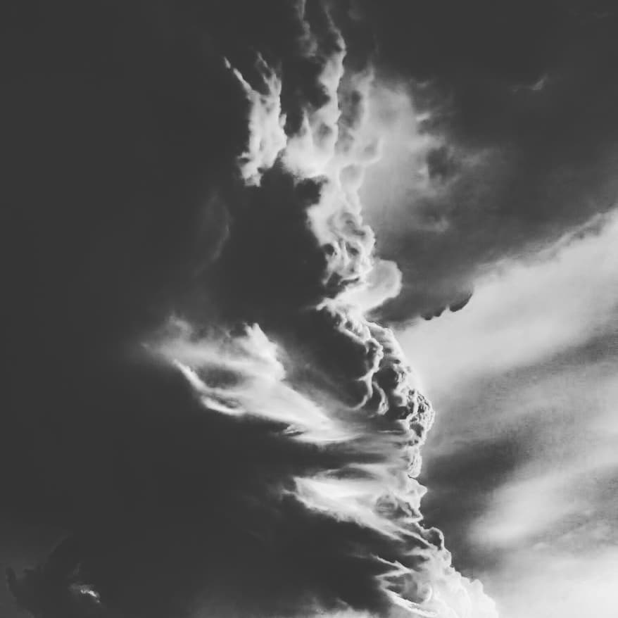 .arcus