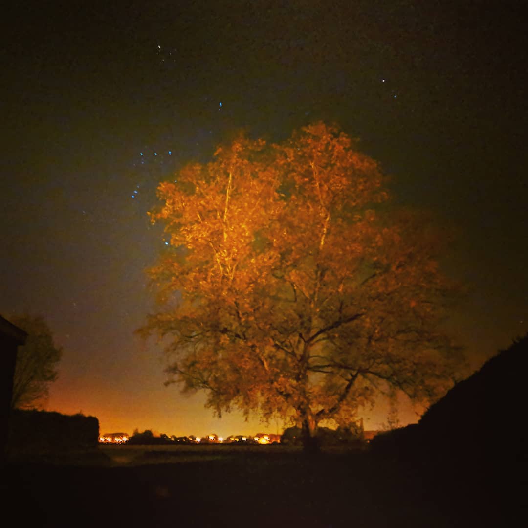 Hof met Orion