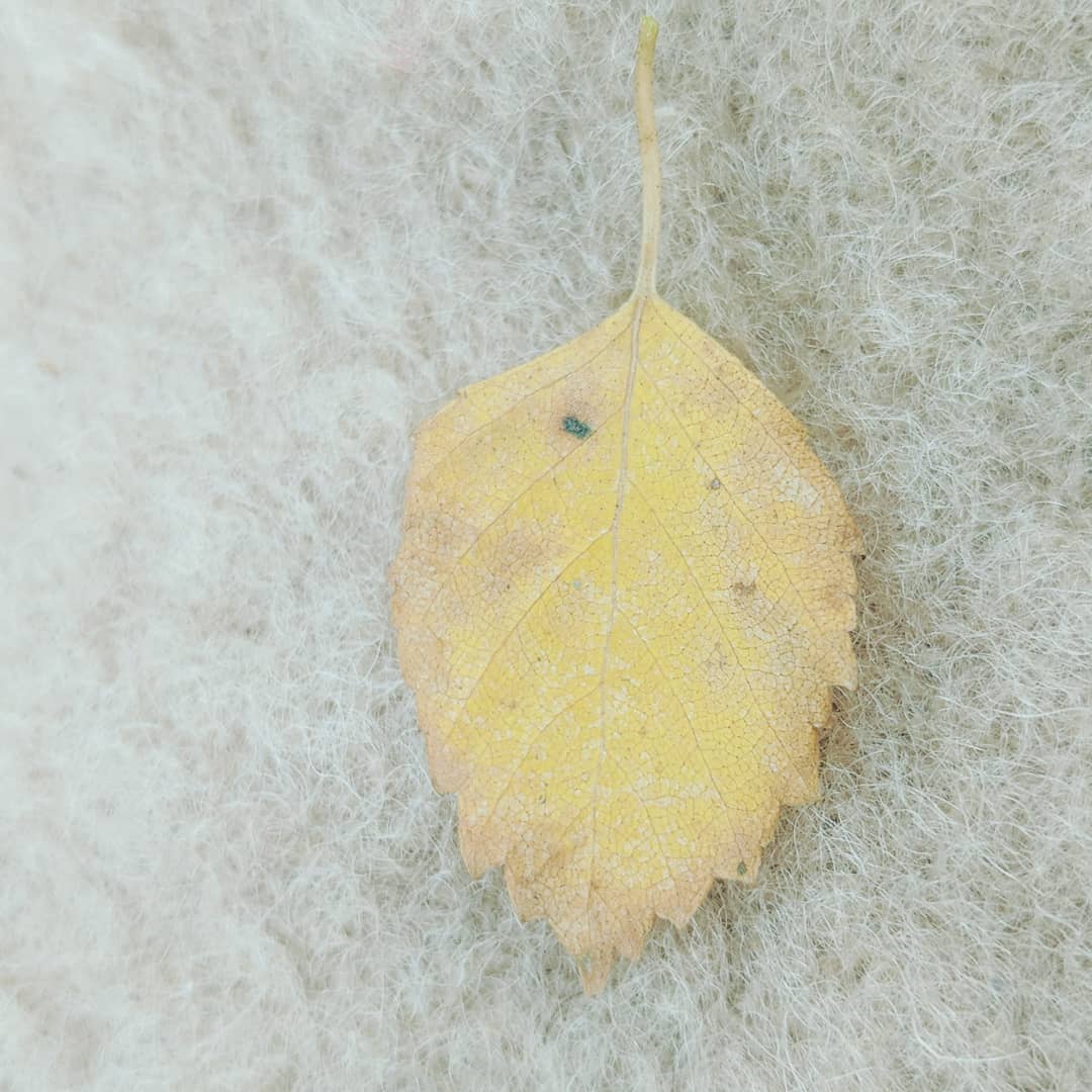 instagram post 17912837857235669
