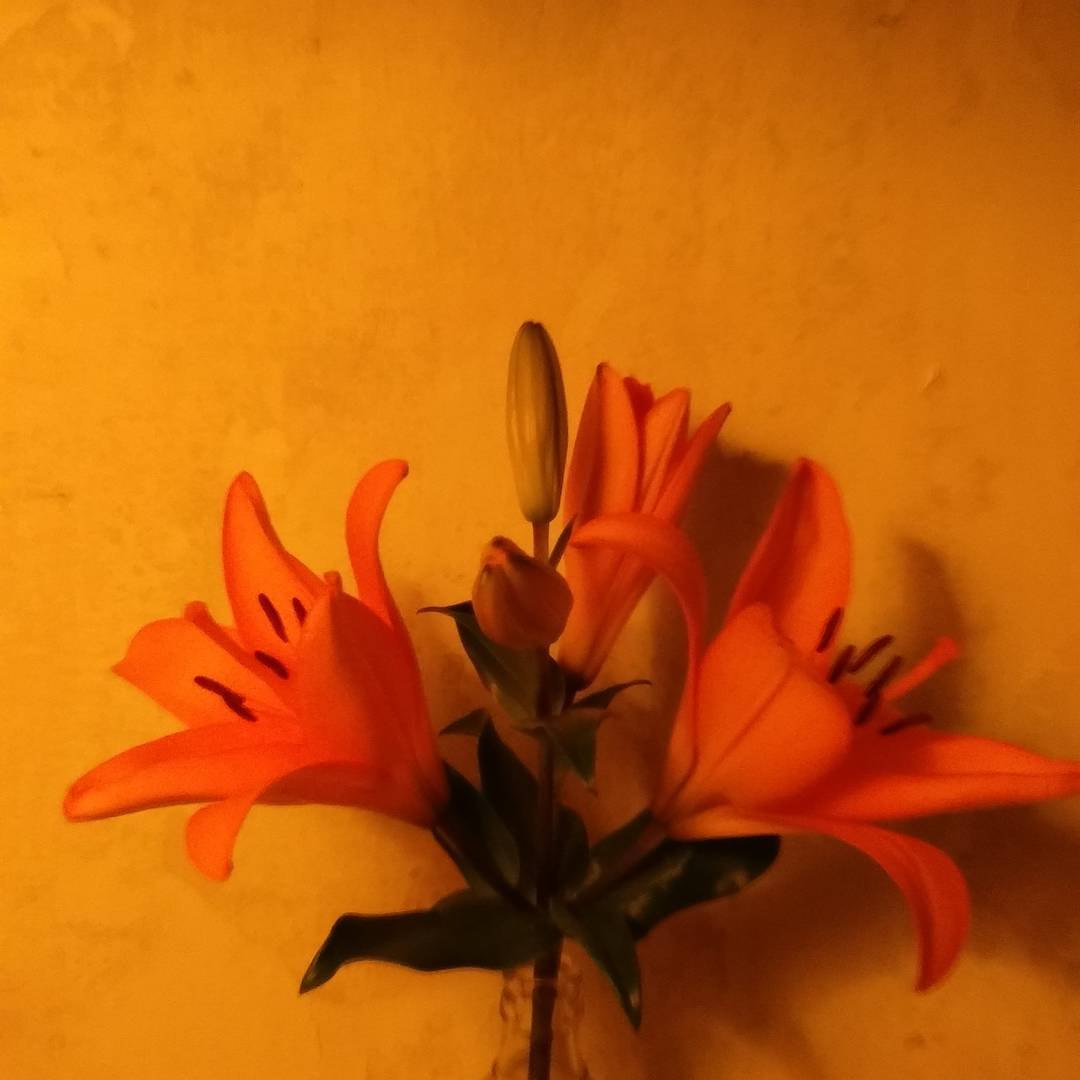 instagram post 17878056256017865