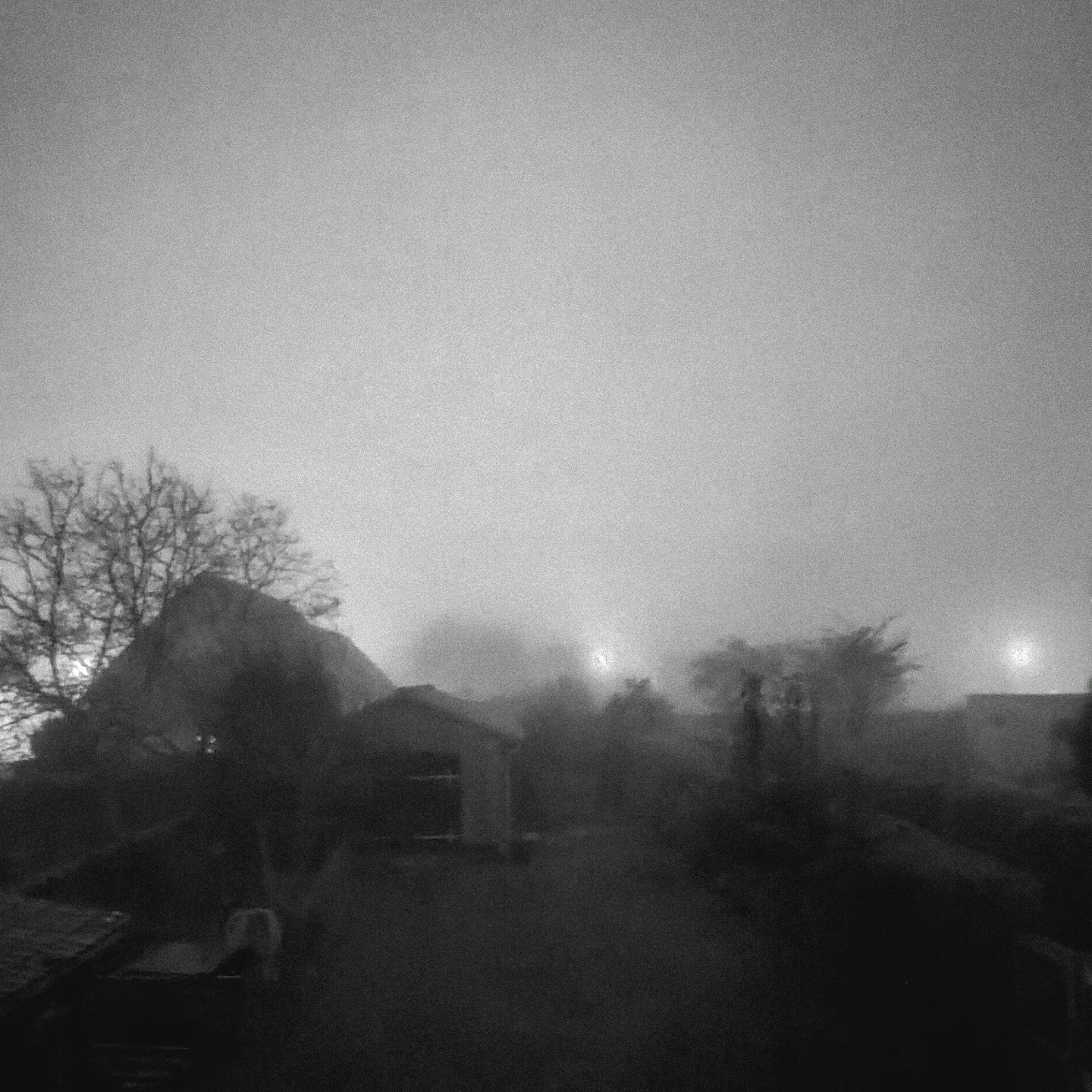 .mist