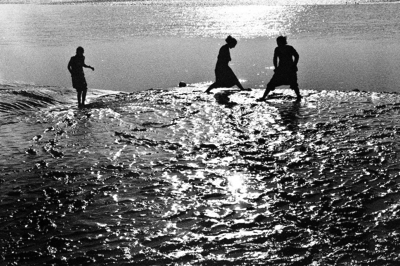 flickr 2431713547