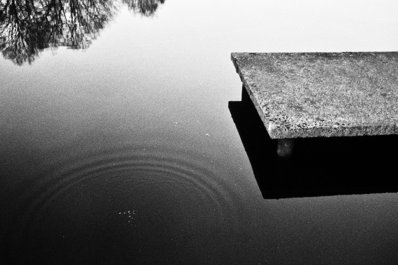 flickr 2431712479