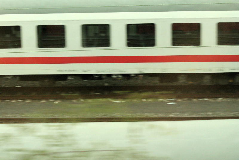 flickr 1907851091