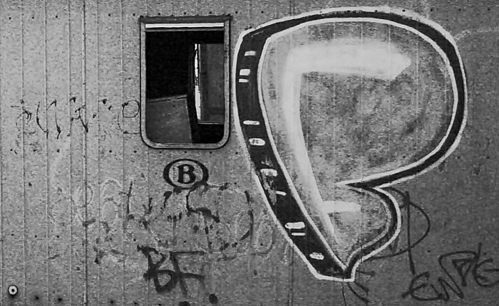 flickr 465264615