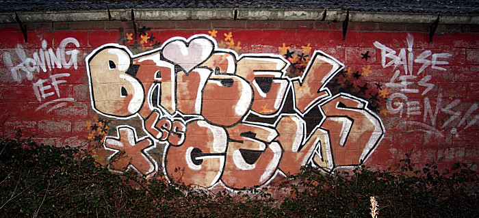 flickr 465256464