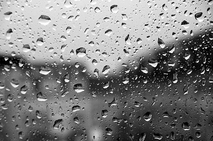 flickr 430514833