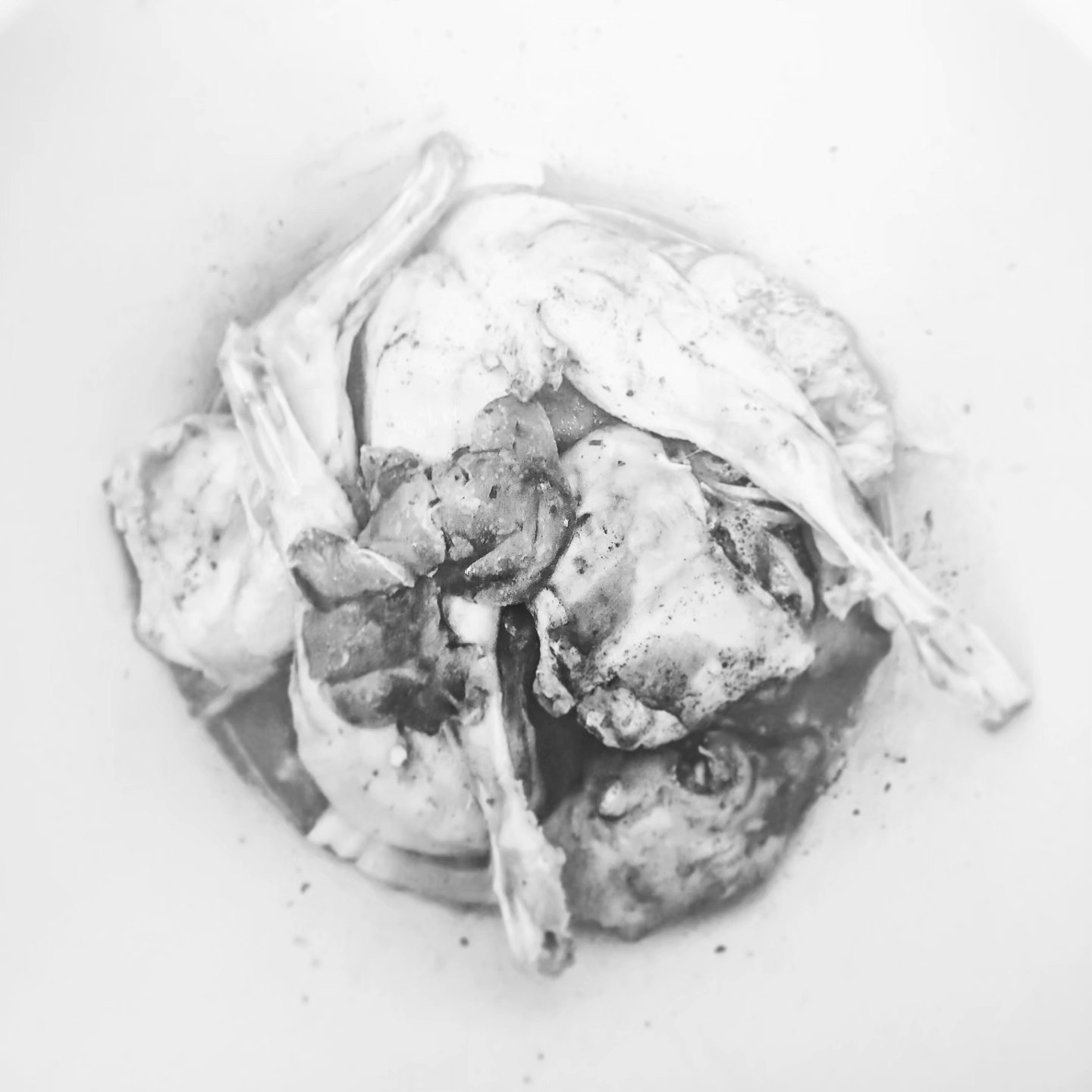 .roadkill