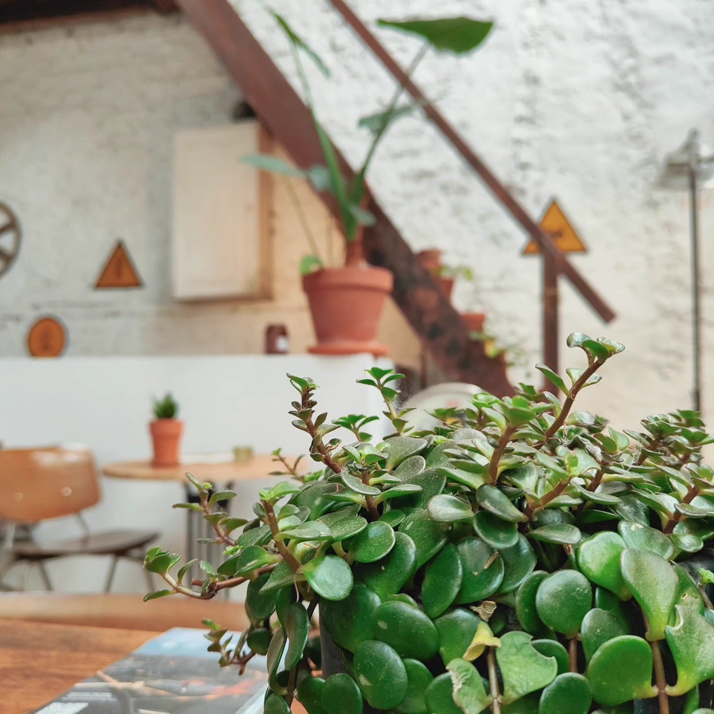 .office

@atelier_nooitgedacht 

#kortrijk #coworking @visit.kortrijk #odoo #wonderkortrijk #café